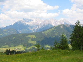 Buchensteinwand hinter dem Haus